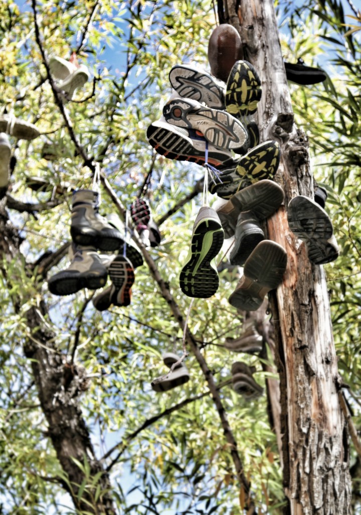 Park City's iconic shoe tree.