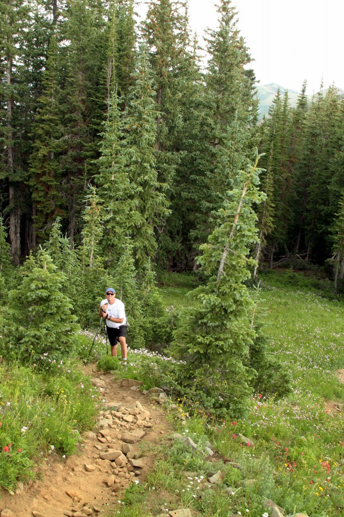 Jeff descends through fields of wildflowers.